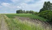 Trail Walking Dour - Élouges 17 km - Photo 12
