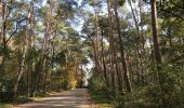 Tocht Stappen Stabroek - Kapellen 22 km - Photo 10