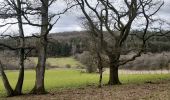 Tour Wandern Libin - Reconnaissance des différents parcours marche ADEPS de Villance. - Photo 14