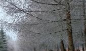 Trail Walking Theux - dans le givre de Crambon  - Photo 10