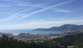 Percorso A piedi Unknown - Via Veneto – Vailunga – Toracca – Isola – Montalbano - Photo 10