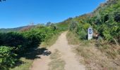 Trail Walking Vega de Valcarce - 2023 06 fonfria - Photo 7