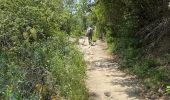 Trail  Saint-Privat - Grand mont Soumont Le Bosc  - Photo 10