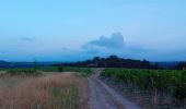 Tour Wandern Rochefort-sur-Loire - Rochefort sur Loire - Photo 17