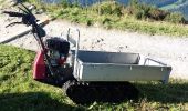 Percorso A piedi Bergen - Wanderweg 8 - Hochfelln - Photo 3