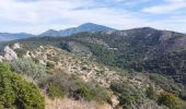 Excursión Senderismo Malaucène - Crête Arfuyen Pas du Loup - Photo 1