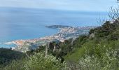 Trail Walking Castellar - Grammondo depuis Castellar - Photo 1