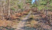 Tour Wandern Terres de Bord - rando du 19 mars 2021 - Photo 2