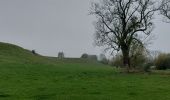 Trail Walking Mettet - Mettet 141122 - Photo 10