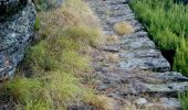 Percorso A piedi Seravezza - Sentiero Alta Versilia - Tappa 04 - Basati - Cave del Giardino - Terrinca - Photo 1