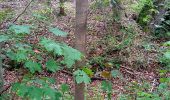 Excursión A pie Großrinderfeld - Liebliches Taubertal – Rundwanderweg 12 – Bildstöcke und Wegkreuze - Photo 1