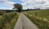 Trail Walking Büllingen - GR56 - Krinkelt-Rocherath – vallée du Jansbach – vallée de la Holzwarche – Mürringen – Krinkelt - Photo 2