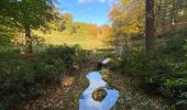 Randonnée Marche Genappe - Bois de Ways Ruart, à l’envers - Photo 8