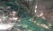 Tour Wandern Andenne - 20190702 Kevret - Photo 2