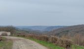 Tocht Stappen Aywaille - A la découverte de Sougné-Remouchamps - Photo 14