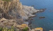 Trail Walking Banyuls-sur-Mer - Banyuls-Peyrefite_T - Photo 2