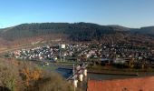 Percorso A piedi Hirschhorn - Rundwanderweg Parkplatz Schloss Hirschhorn 7: Zur Brunnenstube - Photo 1