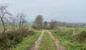 Trail Walking Frasnes-lez-Anvaing - Oeudeghien 9,2 km - Photo 2