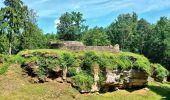 Trail On foot Homburg - Schlossbergtour - Photo 1