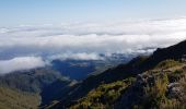Tour Wandern Ilha - Madère : vers le Pico Ruevo sommet de l'île - Photo 5