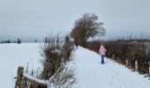 Tour Schneeschuhwandern Büllingen - Manderfeld (PVDB) - Photo 10