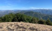 Tour Wandern Peille - Peille : Cime du Baudon et Mont Ours - Photo 9