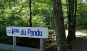 Percorso Marcia Spa - La forêt et les fagnes - Photo 4