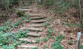 Trail Walking Lepuix - Giromagny - sentier des mines  - Photo 3