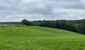 Tour Wandern Nivelles - Monstrueux 21.4 km - Photo 11