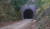 Excursión Bicicleta híbrida Mars - Dolce via. St Agrève. Le cheilard  - Photo 4