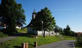 Excursión A pie Spiegelau - Hauptwanderweg (Nationalpark Bayerischer Wald) - Photo 7