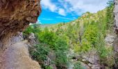 Trail Walking Estoublon - Gorges de Trévans - Photo 12