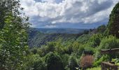 Trail Walking Bouillon - au départ de l' auberge, frahan, rochehaut  - Photo 2