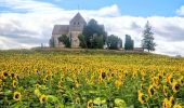 Tour Zu Fuß Moret-Loing-et-Orvanne - La basse vallée du Lunain version 30 km - Photo 11