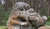 Excursión Marcha nórdica Fontainebleau - Âpremont les gorges  - Photo 1