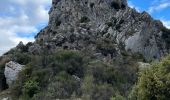 Tocht Stappen Duranus - L'Engarvin - cime de Roccasierra  - Photo 6