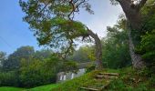 Tour Wandern Philippeville - Balade de Roly à Villers-en-Fagne - Photo 2