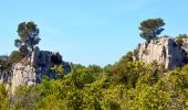 Randonnée Marche Roquefort-la-Bédoule - Sommet du Douard - Gorges de la Petite Ste Baume - Chapelle St André - Ruines vieux Roquefort - Chateau Roquefort  - Photo 13