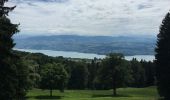 Percorso A piedi Herrliberg - Wetzwil - Pfannenstiel Hochwacht - Photo 8