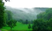 Tour Zu Fuß Vaihingen an der Enz - Riedberg Rundweg - Photo 4