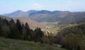 Tocht Stappen Wasserbourg - Tour du Petit Ballon et des fermes auberges - Photo 7