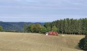 Tocht Stappen Bouillon - rando rochehaut 8/09/2020 - Photo 17