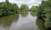 Trail Walking Beaumont-sur-Sarthe - Boucle Beaumont Vivoin - Photo 12