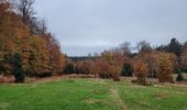 Tour Wandern La Roche-en-Ardenne - rando samrée 2-11-2024 - Photo 6