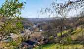 Randonnée Marche Namur - Balade à Malonne - Le Volcan - Photo 5