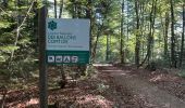 Trail Walking Plancher-les-Mines - 130722 - La planche des belles - au pieds du Ballons d’Alsaces - Photo 9