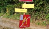 Randonnée Marche Treffort - Les deux passerelles Drac et Ebron - Photo 8