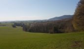 Tocht Stappen Niederbronn-les-Bains - Grand Wintersberg & plan d'eau Wolfartshoffen - Photo 15