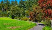 Tour Wandern Gedinne - Marche Adeps à Gedinne - Photo 12