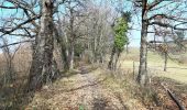 Tocht Stappen Le Versoud - Le Versoud - La Poya - Croix de Revollat - Photo 11